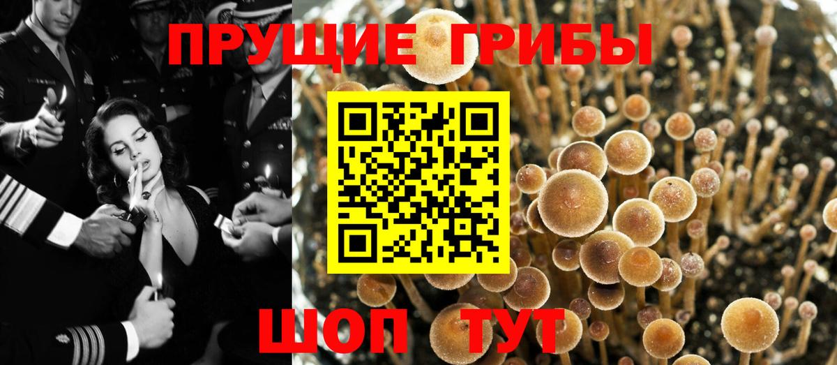 Галлюциногенные грибы мицелий  Вход с VPN  Липецк 
